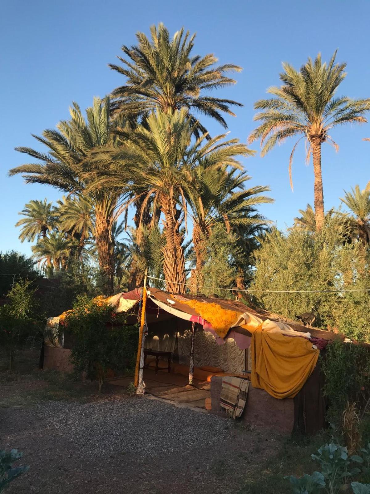 Bivouac Lot Of Stars Villa Ouarzazate Ngoại thất bức ảnh