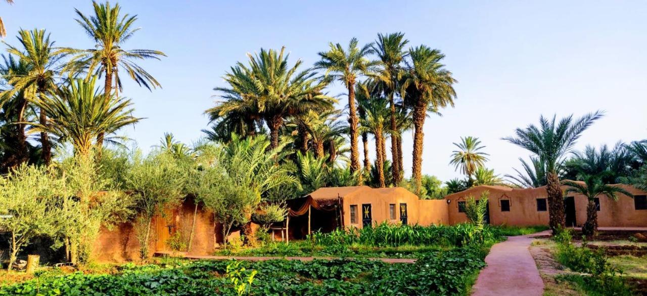 Bivouac Lot Of Stars Villa Ouarzazate Ngoại thất bức ảnh